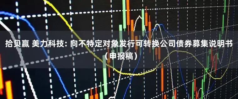 拾贝赢 美力科技: 向不特定对象发行可转换公司债券募集说明书（申报稿）