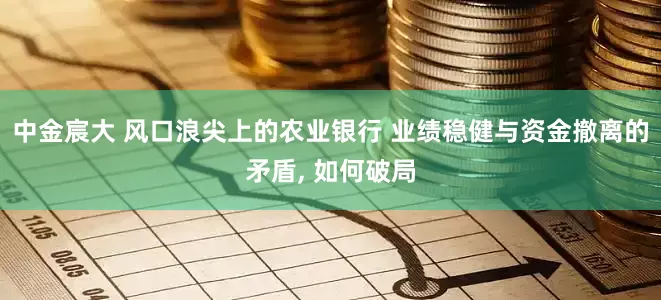 中金宸大 风口浪尖上的农业银行 业绩稳健与资金撤离的矛盾, 如何破局